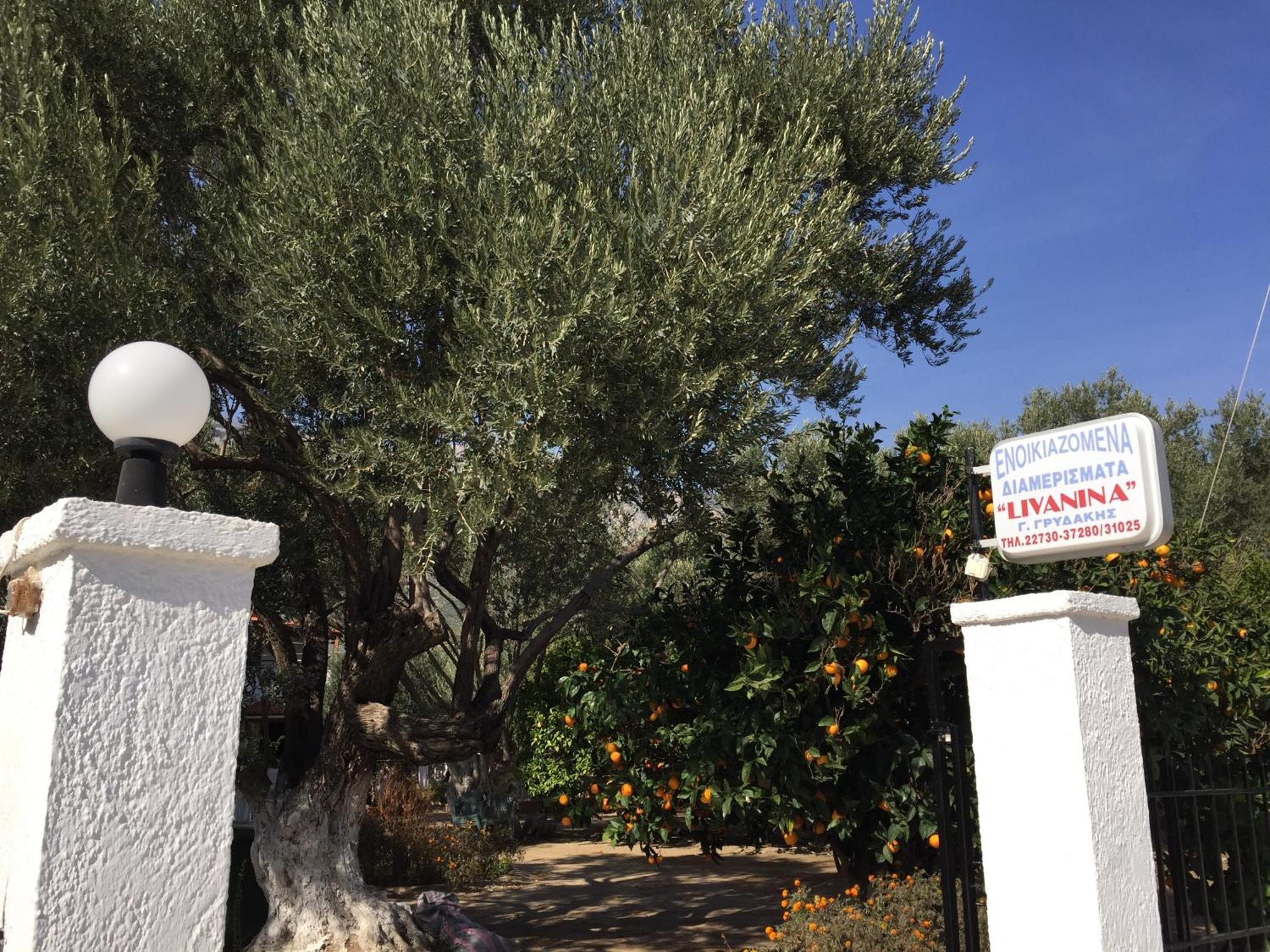 Apartment Livanina