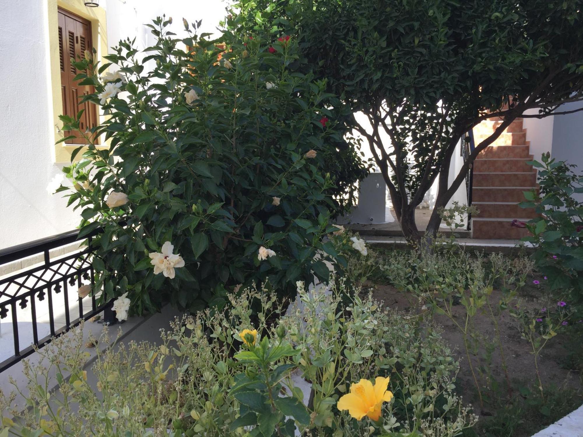 Apartment Livanina *
